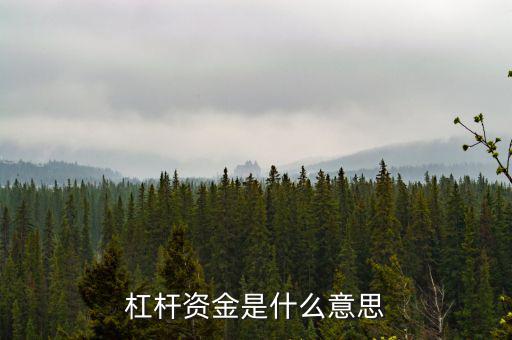 資金杠桿是什么意思，投資里面的杠桿是什么意思