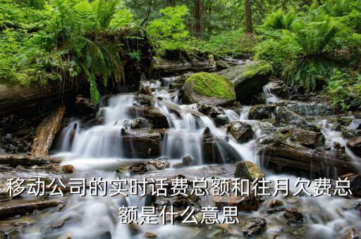 移動(dòng)賬單總額什么意思，移動(dòng)公司的帳單總額與實(shí)時(shí)話費(fèi)區(qū)別