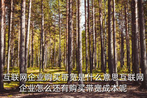 帶寬采購是什么意思，請(qǐng)問帶寬出口批發(fā)是什么出口的定義是 麻煩幫幫忙