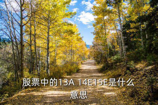 市盈率13a什么意思，財(cái)務(wù)報(bào)表中13A 14E 是什么意思