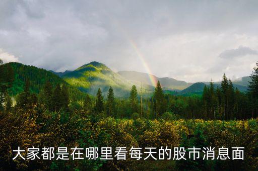 每天的股票信息看什么網(wǎng)站，大家都是在哪里看每天的股市消息面