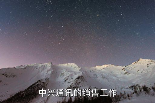 中興通訊的銷(xiāo)售工作