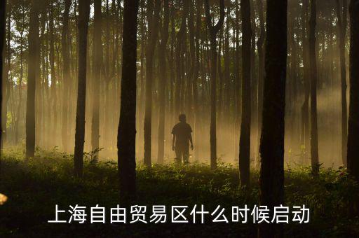 上海自貿(mào)區(qū)什么時候開放，上海自由貿(mào)易區(qū)什么時候啟動