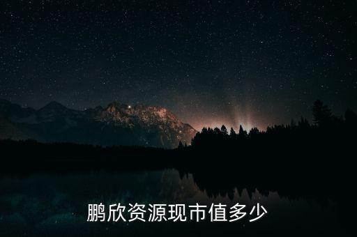 鵬欣資源是什么公司，鵬欣資源現市值多少