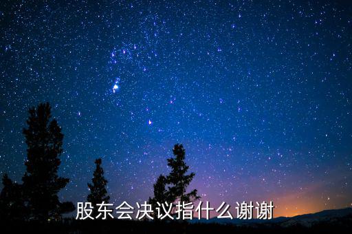 什么是股東會決議，有限責任公司決議叫股東會會決議那么國有企業(yè)決議應該叫什