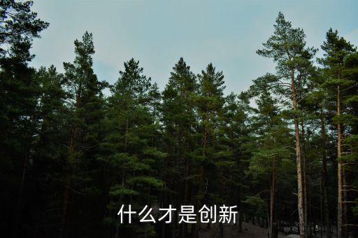 什么的創(chuàng)新，創(chuàng)新的定義是什么