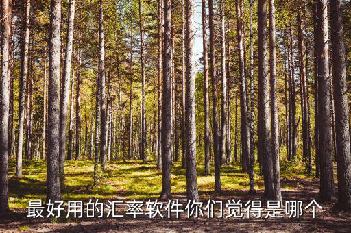 外匯用什么軟件，什么外匯交易軟件最好