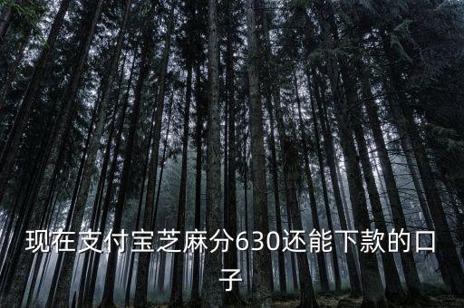 支付寶口子是什么意思，支付寶口子是什么意思