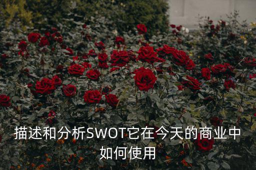 st戰(zhàn)略是什么意思，ST戰(zhàn)略是什么意思