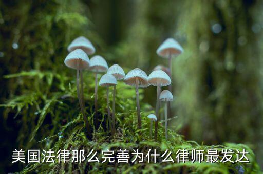 為什么美國賠償那么高，美國人為什么那么高