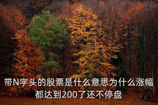 n派思是什么股票，帶N字頭的股票是什么意思為什么漲幅都達(dá)到200了還不停盤