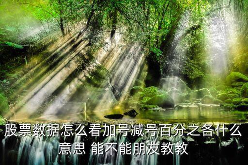 證券如何看漲停加減什么意思，漲停時買一后邊的數(shù)加減是什么意思