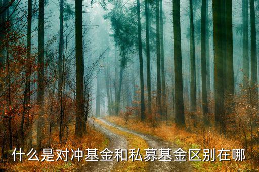 對(duì)沖基金是什么，對(duì)沖基金操作手法是什么有哪些原理