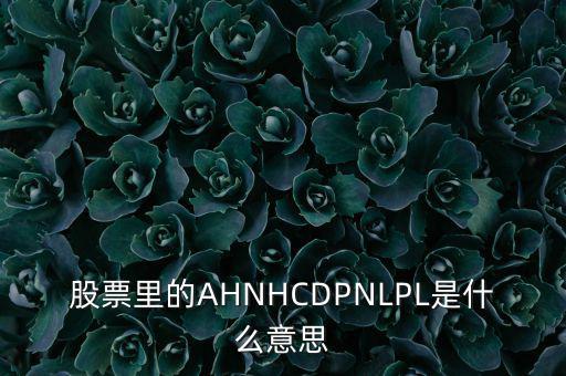 股票nl是什么意思，股票里的AHNHCDPNLPL是什么意思