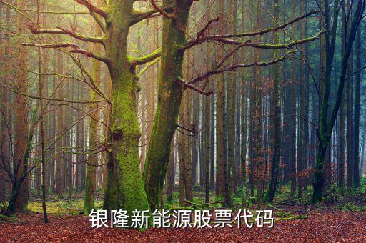 銀龍股份什么時(shí)候上市，銀隆新能源股票代碼