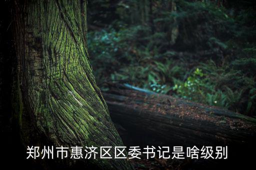 王洪章是什么級(jí)別，武警江西省總隊(duì)司令是什么級(jí)別