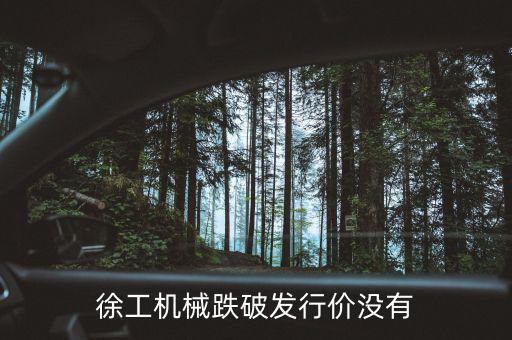 徐工機(jī)械什么時(shí)候復(fù)權(quán)，徐工機(jī)械何時(shí)復(fù)牌