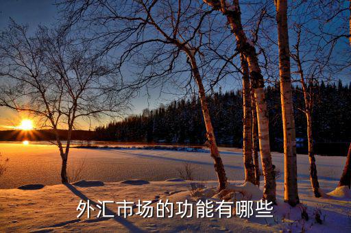 外匯有什么用，外匯市場的功能有哪些