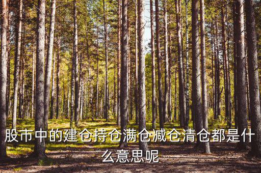 為什么減倉(cāng)，減倉(cāng)是什么意思什么是減倉(cāng)