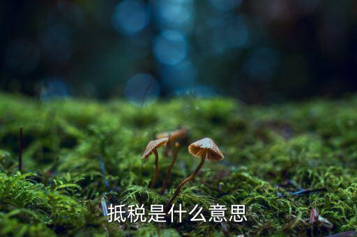 公司抵稅是什么意思，抵稅是什么意思