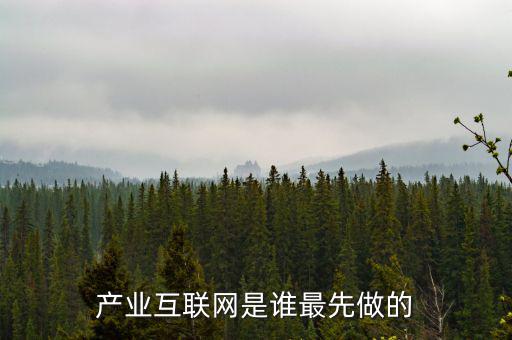 產(chǎn)業(yè)互聯(lián)網(wǎng)是什么龍頭，產(chǎn)業(yè)互聯(lián)網(wǎng)是誰最先做的