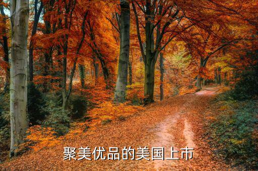 聚美優(yōu)品為什么要上市，根據(jù)聚美優(yōu)品案例談?wù)勈裁词莍po