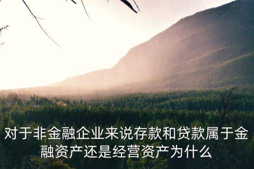 對(duì)于非金融企業(yè)來說存款和貸款屬于金融資產(chǎn)還是經(jīng)營(yíng)資產(chǎn)為什么