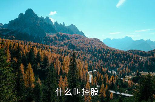什么是控股關(guān)系，什么叫控股