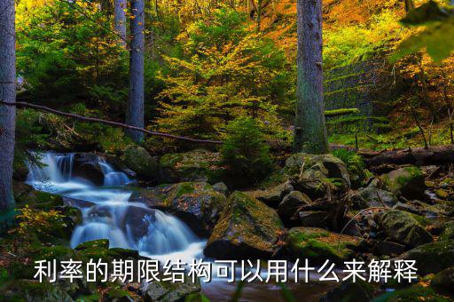 利率的期限結(jié)構(gòu)可以用什么來解釋，簡述利率的期限結(jié)構(gòu)