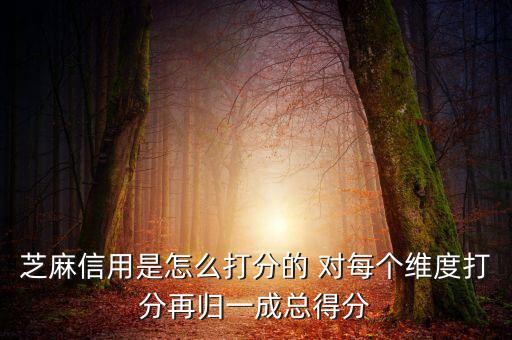 芝麻信用評(píng)分依據(jù)是什么，芝麻信用以什么依據(jù)評(píng)分
