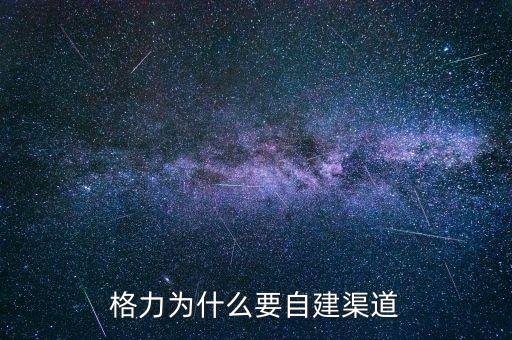 格力為什么自建渠道，格力與國美電器將來的合作的可能性如何請說明原因