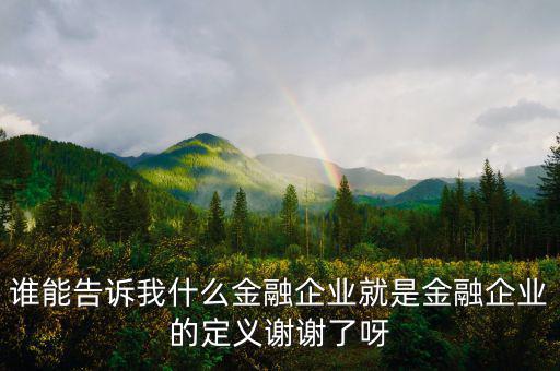 什么是金融企業(yè)，請問什么是金融企業(yè)呢或金融企業(yè)具體做什么負(fù)責(zé)什么啊