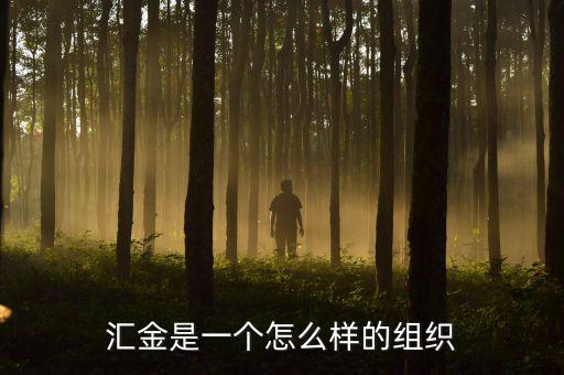 中央?yún)R金干什么的，匯金是一個怎么樣的組織