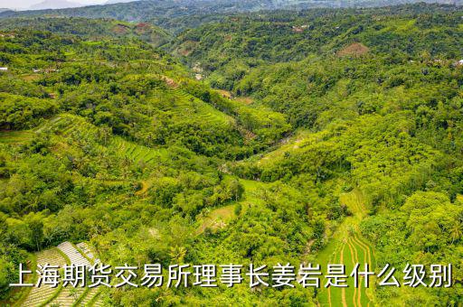 上交所理事長什么級別，上海期貨交易所理事長姜巖是什么級別