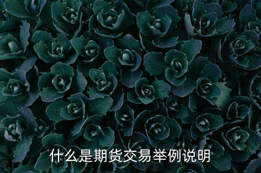期權(quán)期貨是什么意思，期權(quán)與期貨是什么意思