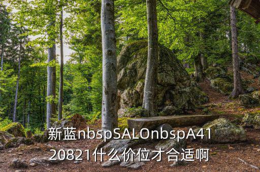 久遠(yuǎn)銀海什么價(jià)位才賣，新藍(lán)nbspSALOnbspA4120821什么價(jià)位才合適啊