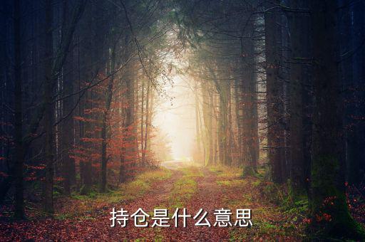 什么是買(mǎi)持倉(cāng)，持倉(cāng)是什么意思