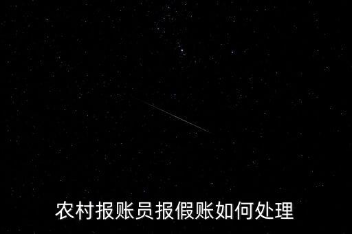 農村報賬員報假賬如何處理