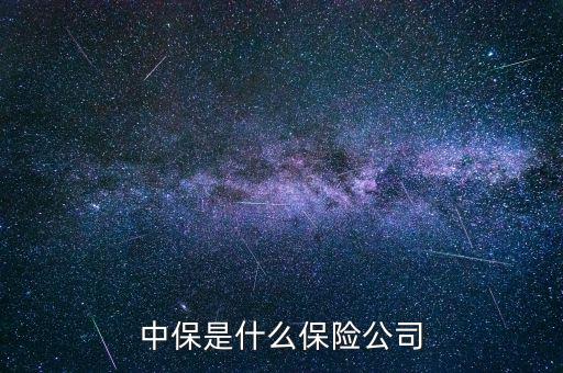 中保是什么保險(xiǎn)公司