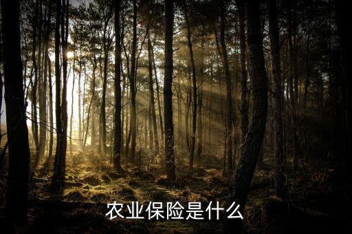 傳統(tǒng)農(nóng)業(yè)保險主要保什么風險，農(nóng)業(yè)保險是什么