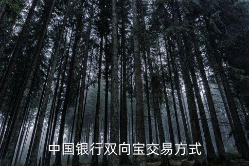 中國銀行雙向?qū)毷鞘裁矗袊y行雙向?qū)殬I(yè)務(wù)詳細(xì)介紹