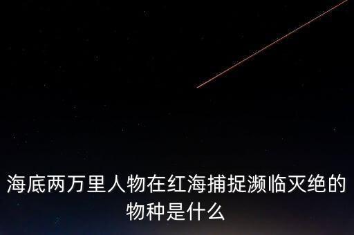 富智康和鴻海是什么關(guān)系，他的什么半島是在亞洲部分什么運(yùn)河溝通了紅海和地中海