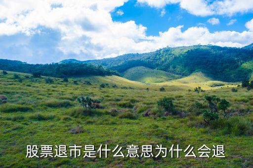 上市退出是什么意思，退市是什么意思