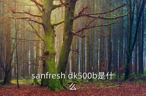 金鷹500b是什么，EOS 500B 是什么Rin的樂器