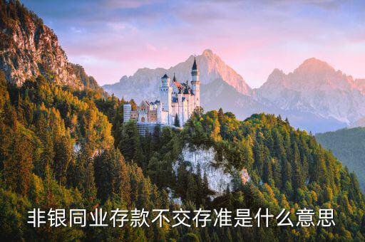 什么是非銀同業(yè)存款，什么是銀行同業(yè)存款