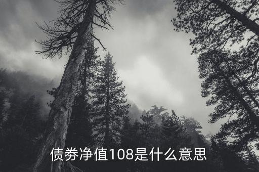 債券凈值是什么意思，債劵凈值108是什么意思
