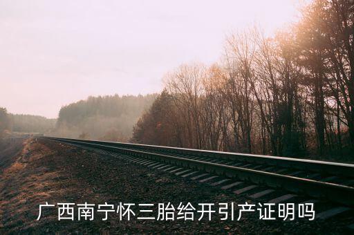 a廣西南寧生三胎有什么政策，2014年廣西人均收入2595元超生三胎罰款是多少錢
