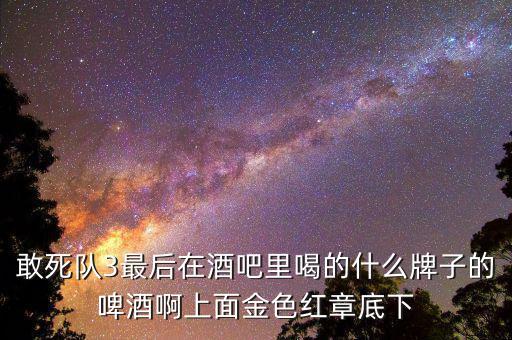 敢死隊(duì)3喝的什么啤酒，敢死隊(duì)3酒吧里吃的這是什么