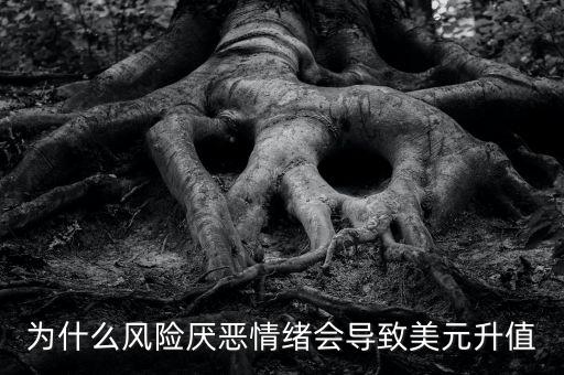 sdr和美元指數(shù)構(gòu)成有什么關(guān)系，為什么A股和美元指數(shù)有關(guān)系