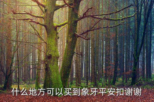 在日本什么地方買象牙制品，什么地方有批發(fā)象牙飾品的